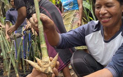 Mongabay: Pemprov NTT Terapkan Skema Transfer Fiskal Berbasis Ekologi. Bagaimana Caranya?