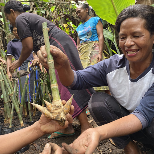 Mongabay: Pemprov NTT Terapkan Skema Transfer Fiskal Berbasis Ekologi. Bagaimana Caranya?