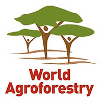 ICRAF logo