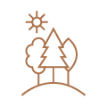 The Way Forward_Icons-06