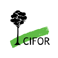 cifor 3