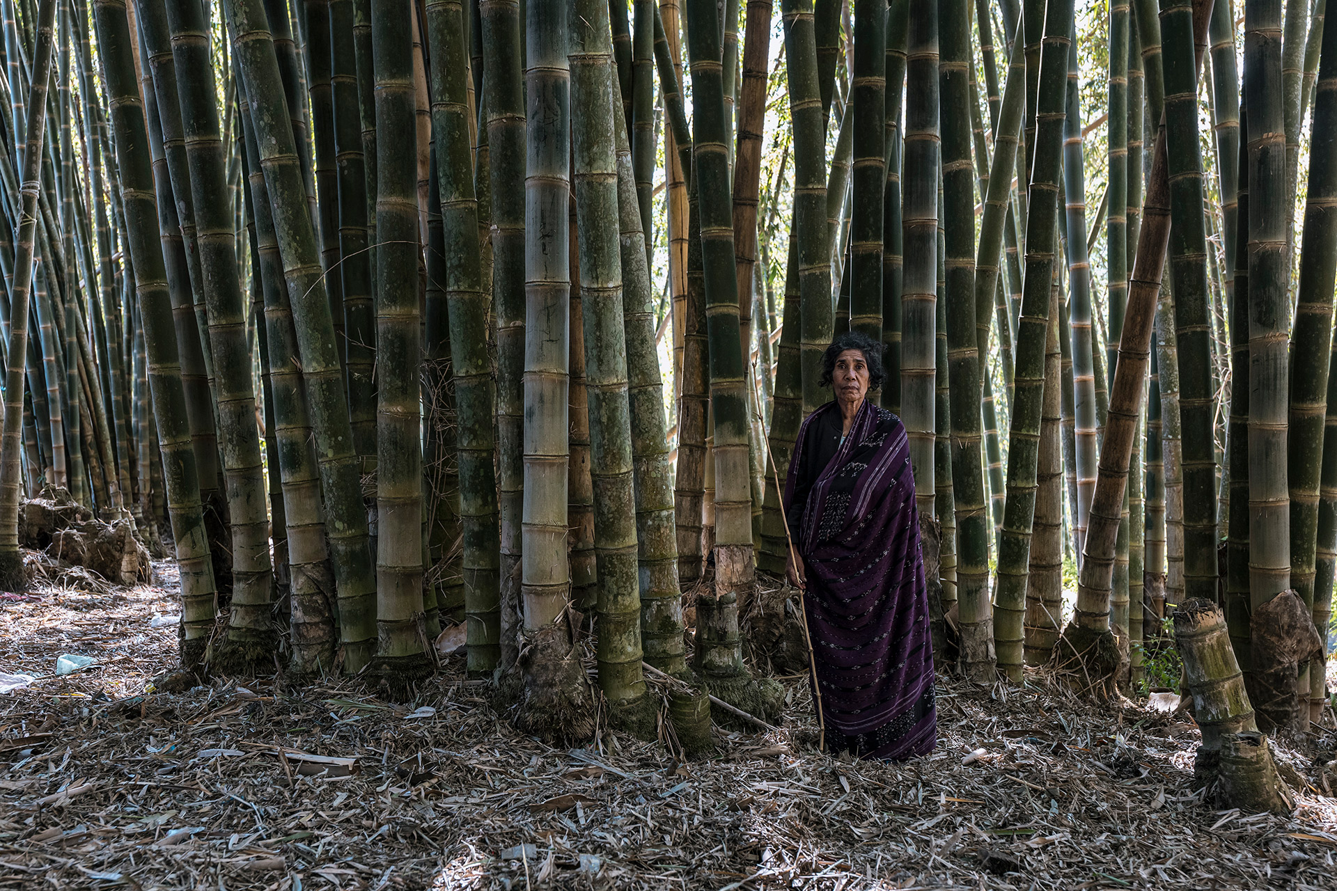 Environmental_Bamboo_Foundation_Ulet_Ifansasti_5515