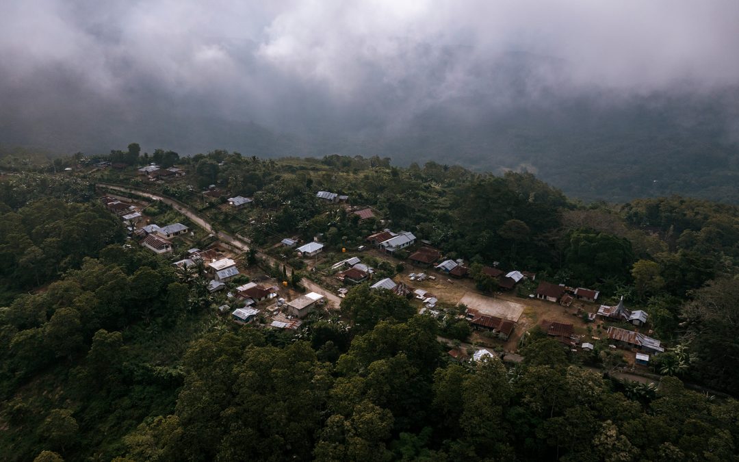 How Bamboo Helps Mitigate Climate Change in Indonesia