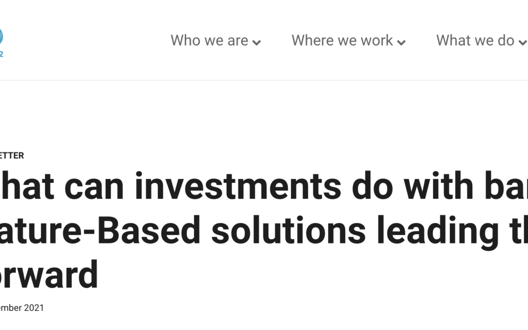 Our story on the UNEP Blog