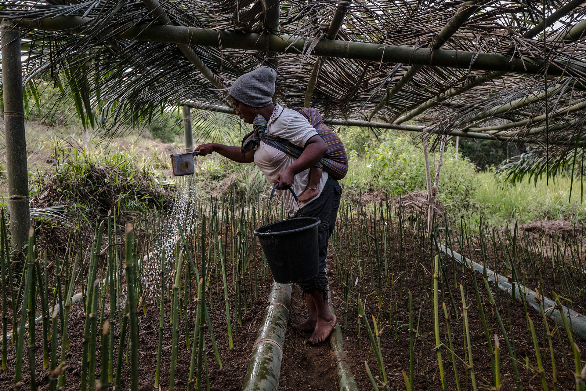 Environmental_Bamboo_Foundation_Ulet_Ifansasti_2310