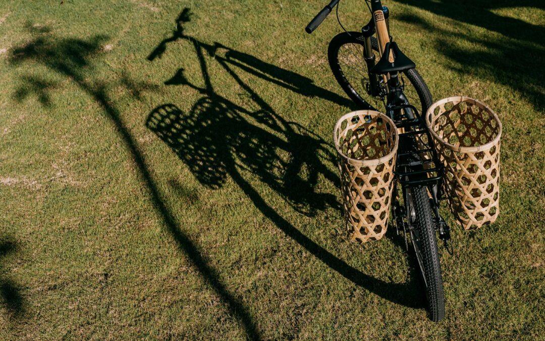 Bamboo pioneers: Singgih Kartono, founder of Spedagi Bamboo Bike