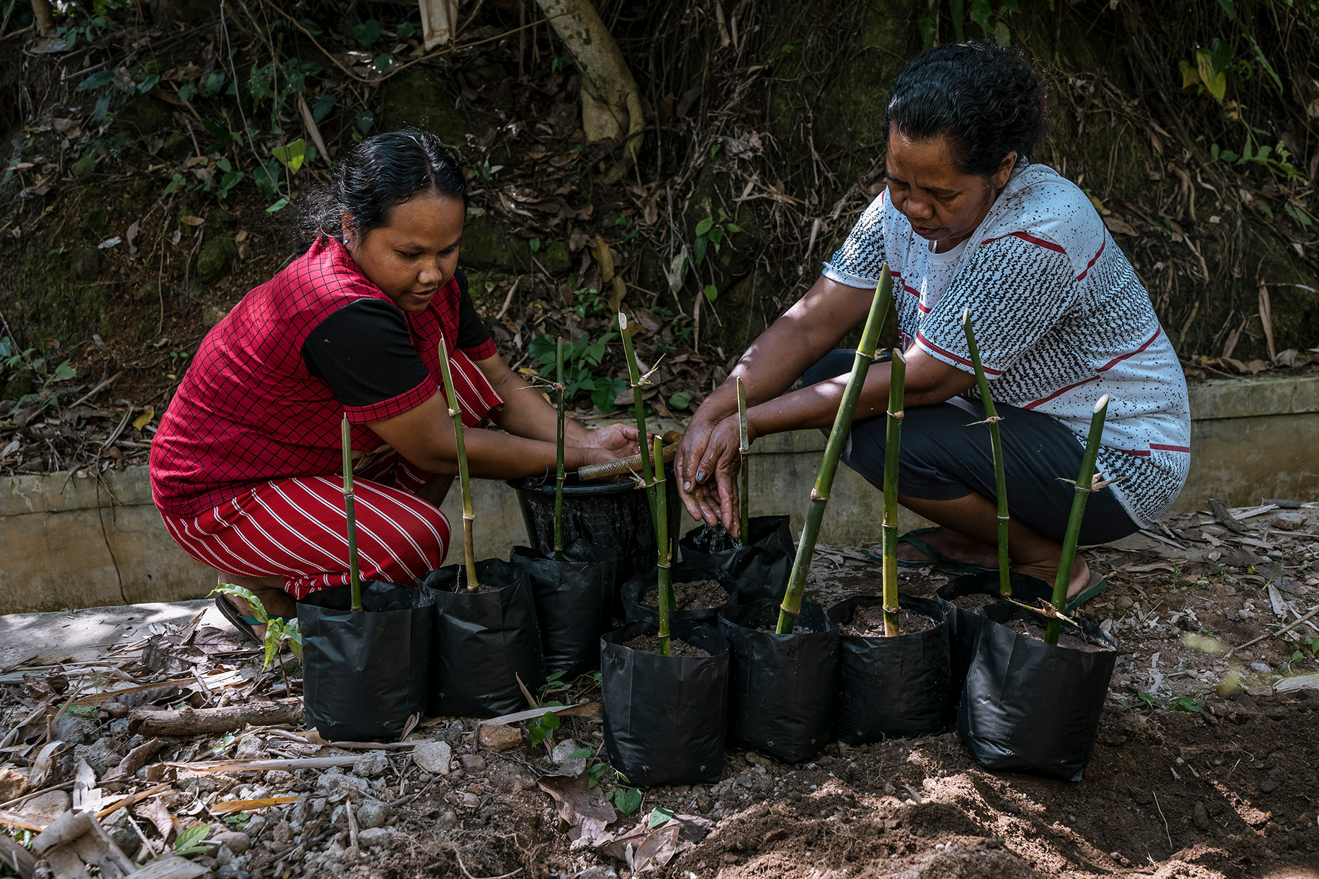 Environmental_Bamboo_Foundation_Ulet_Ifansasti_3603