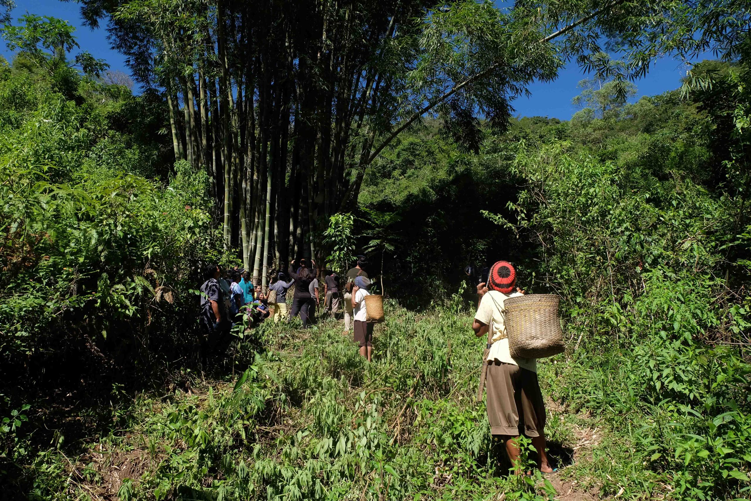 Mama Bambu Nurture Love for Bamboo while Preserving Heritage