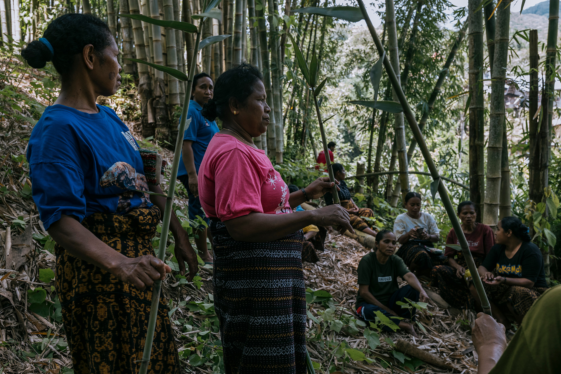 Why Women are the Key to Climate Change Mitigation