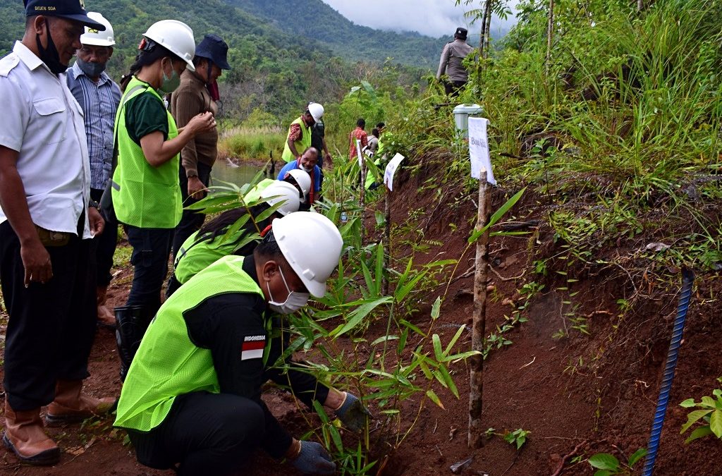 Ribuan Bibit Bambu ditanam di Bendungan Napun Gete, NTT. Untuk Apa?