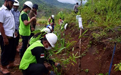 Ribuan Bibit Bambu ditanam di Bendungan Napun Gete, NTT. Untuk Apa?