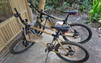 Bamboo mamas and bikes help with Indonesian diplomacy