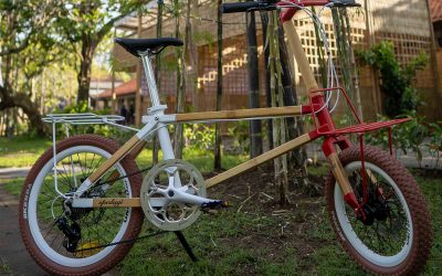 Mengintip Spedagi GORo, Sepeda Bambu Istimewa di Gelaran KTT G20