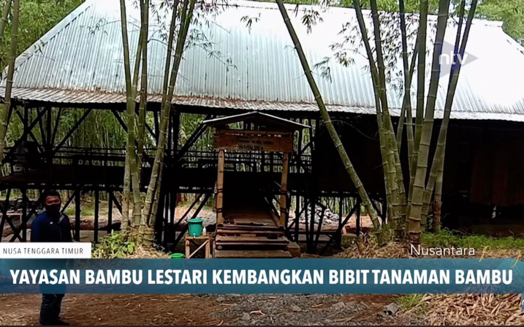 Yayasan Bambu Lestari on Nusantara TV