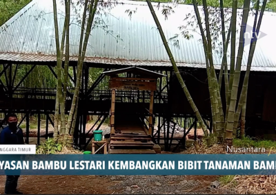 Yayasan Bambu Lestari on Nusantara TV