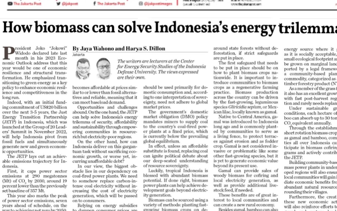 Biomass can solve indonesias energy