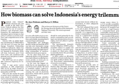 Biomass can solve indonesias energy