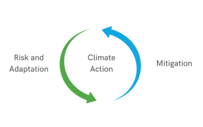 Climate Risk Mitigation: Preparing for the Impacts of El Niño